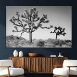 93692513-SEG-FC-51X34_Oversize_Oversize-Joshua Tree Wall Art Canvas Print, Framed Monochrome Desert Art Picture Print, Minimalist Nature Scene Perfect Southwestern