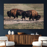 58141885-SEG-FC-51X34_Oversize_Oversize-Bison Photography Wall Art Canvas Print, Framed Western Wildlife Art Picture Print, Modern Ranch Perfect Western Rustic Decor