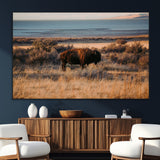 39509187-SEG-FC-51X34_Oversize_Oversize-Western Wildlife Wall Art Canvas Print, Framed Bison Art Picture Print, Golden Hour Perfect Western Rustic Decor Artwork