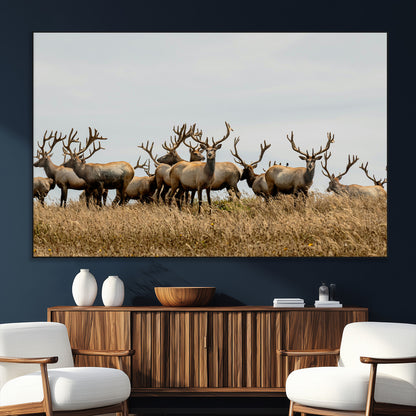 42170220-SEG-FC-51X34_Oversize_Oversize-Elk Herd Wall Art Canvas Print, Framed Wildlife Photography Art Picture Print, Majestic Antlers Perfect Rustic Wildlife Decor