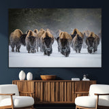 30332489-SEG-FC-51X34_Oversize_Oversize-Winter Bison Herd Wall Art – Powerful Buffalo Canvas Print, Rustic Wildlife Photography Decor for Farmhouse, Cabin, Lodge, Living