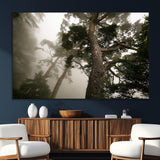 87969493-SEG-FC-51X34_Oversize_Oversize-Forest Wall Art – Misty Tall Trees Canvas Print, Dramatic Woodland Photography Decor for Bedroom, Living Room, Office, Cabin,
