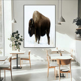 76778120-MGV-CV-24X36-Bison Photography Wall Art Canvas Print, Framed Western Wildlife Art Picture Print, Buffalo On Snow Perfect Western Rustic Decor
