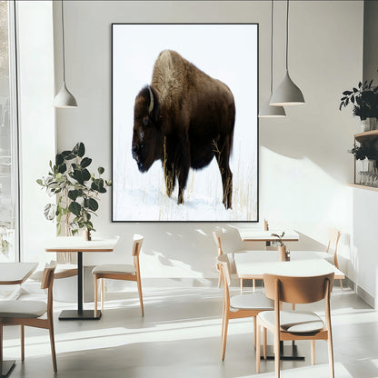76778120-MGV-CV-24X36-Bison Photography Wall Art Canvas Print, Framed Western Wildlife Art Picture Print, Buffalo On Snow Perfect Western Rustic Decor