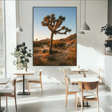 96503558-MGV-CV-24X36-Joshua Tree Wall Art Canvas Print, Framed Desert Sunset Art Picture Print, Golden Hour Light Perfect Southwestern Boho Decor