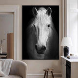 36639-MGV-CV-24X36-Large Wall Art White Horse on Black Background Canvas Print