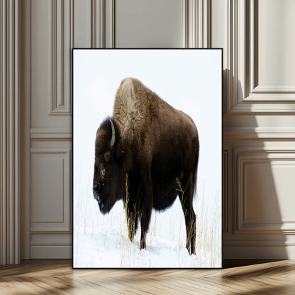 76778120-SEG-FC-51X34_Oversize_Oversize-Bison Photography Wall Art Canvas Print, Framed Western Wildlife Art Picture Print, Buffalo On Snow Perfect Western Rustic Decor