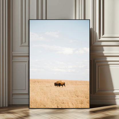 96766166-SEG-FC-51X34_Oversize_Oversize-Minimalist Nature Wall Art Canvas Print, Framed Bison In Grassland Art Picture Print, Open Field Perfect Modern Ranch Decor Decor
