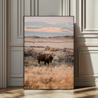 75146693-SEG-FC-51X34_Oversize_Oversize-Solitary Buffalo Wall Art Canvas Print, Framed Golden Prairie Art Picture Print, Earthy Tones Perfect Rustic Western Decor Artwork