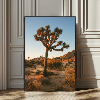 96503558-SEG-FC-51X34_Oversize_Oversize-Joshua Tree Wall Art Canvas Print, Framed Desert Sunset Art Picture Print, Golden Hour Light Perfect Southwestern Boho Decor