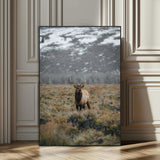 80105083-SEG-FC-51X34_Oversize_Oversize-Wild Elk Wall Art Canvas Print, Framed Mountain Wilderness Art Picture Print, Majestic Animal Perfect Rustic Lodge Decor Artwork
