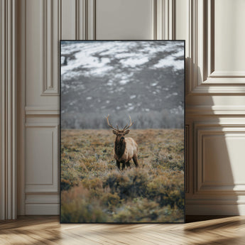 80105083-SEG-FC-51X34_Oversize_Oversize-Wild Elk Wall Art Canvas Print, Framed Mountain Wilderness Art Picture Print, Majestic Animal Perfect Rustic Lodge Decor Artwork
