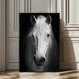 36639-SEG-FC-51X34_Oversize_Oversize-Large Wall Art White Horse on Black Background Canvas Print