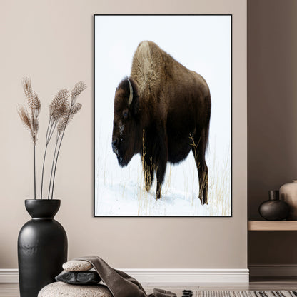 76778120-MGV-CV-24X36-Bison Photography Wall Art Canvas Print, Framed Western Wildlife Art Picture Print, Buffalo On Snow Perfect Western Rustic Decor