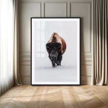 11394883-MGC-FP-24x36_Black-Winter Bison Wall Art Canvas Print, Framed Rustic Wildlife Art Picture Print, Bold Animal Art Perfect Rustic Lodge Decor Artwork