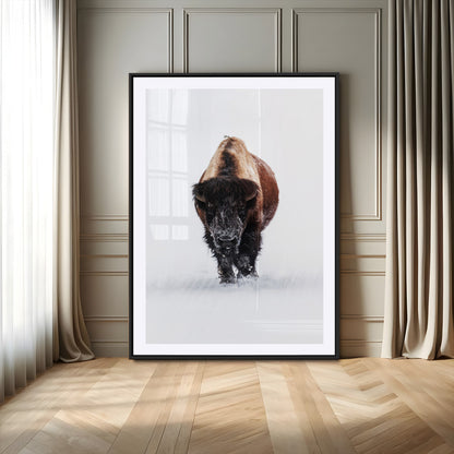 11394883-MGC-FP-24x36_Black-Winter Bison Wall Art Canvas Print, Framed Rustic Wildlife Art Picture Print, Bold Animal Art Perfect Rustic Lodge Decor Artwork