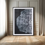 10432121-MGC-FP-24x36_Black-Tree Ring Canvas Wall Art Canvas Print, Framed Rustic Wood Wall Art Picture Print, Botanical Tree Slice Perfect Modern Lodge Decor