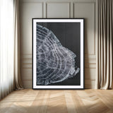 34094020-MGC-FP-24x36_Black-Tree Ring Canvas Wall Art Canvas Print, Framed Modern Rustic Decor Art Picture Print, Botanical Tree Ring Perfect Modern Rustic