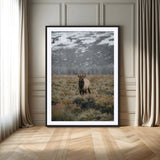 80105083-MGC-FP-24x36_Black-Wild Elk Wall Art Canvas Print, Framed Mountain Wilderness Art Picture Print, Majestic Animal Perfect Rustic Lodge Decor Artwork