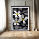 45657-MGV-CV-24X36-Large Wall Art White Flowers on Black Zen Meditation Stones Vertical Canvas Print