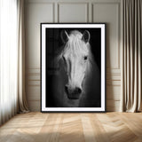 36639-MGV-CV-24X36-Large Wall Art White Horse on Black Background Canvas Print