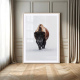 11394883-MGV-CV-24X36-Winter Bison Wall Art Canvas Print, Framed Rustic Wildlife Art Picture Print, Bold Animal Art Perfect Rustic Lodge Decor Artwork