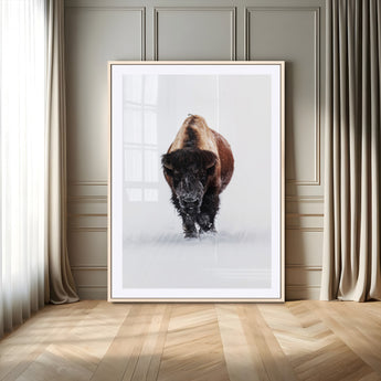 11394883-MGV-CV-24X36-Winter Bison Wall Art Canvas Print, Framed Rustic Wildlife Art Picture Print, Bold Animal Art Perfect Rustic Lodge Decor Artwork