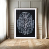 67859667-MGC-FP-24x36-Tree Ring Wall Art Wall Art Canvas Print, Framed Wood Slice Canvas Art Picture Print, Monochrome Nature Decor Perfect Modern