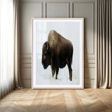 76778120-MGV-CV-24X36-Bison Photography Wall Art Canvas Print, Framed Western Wildlife Art Picture Print, Buffalo On Snow Perfect Western Rustic Decor