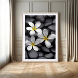 45657-MGV-CV-24X36-Large Wall Art White Flowers on Black Zen Meditation Stones Vertical Canvas Print