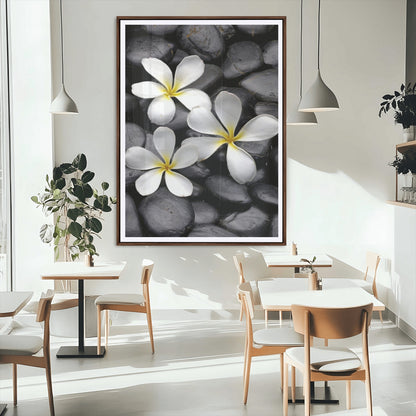 45657-MGC-FP-24x36_Walnut-Large Wall Art White Flowers on Black Zen Meditation Stones Vertical Canvas Print