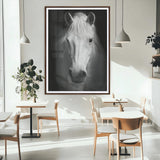 36639-MGC-FP-24x36_Walnut-Large Wall Art White Horse on Black Background Canvas Print