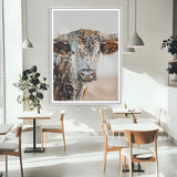 50803532-MGC-FP-24x36_White-Texas Longhorn Wall Art Canvas Print, Framed Speckled Cow Art Picture Print, Horned Bull Perfect Rustic Western Decor Artwork