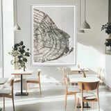 57798204-MGV-CV-24X36-Botanical Tree Ring Wall Art Canvas Print, Framed Earth Tones Art Picture Print, Tree Ring Canvas Perfect Scandinavian Minimalist