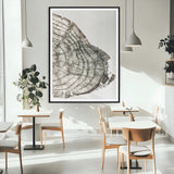 57798204-MGV-CV-24X36-Botanical Tree Ring Wall Art Canvas Print, Framed Earth Tones Art Picture Print, Tree Ring Canvas Perfect Scandinavian Minimalist