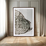 57798204-MGV-CV-24X36-Botanical Tree Ring Wall Art Canvas Print, Framed Earth Tones Art Picture Print, Tree Ring Canvas Perfect Scandinavian Minimalist