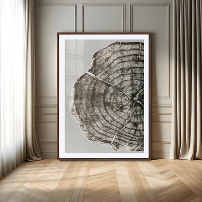 11167473-MGV-CV-24X36-Rustic Wall Decor Wall Art Canvas Print, Framed Modern Lodge Style Art Picture Print, Neutral Wood Slice Perfect Scandinavian