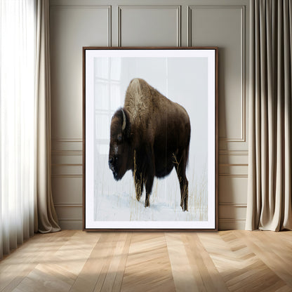 76778120-MGV-CV-24X36-Bison Photography Wall Art Canvas Print, Framed Western Wildlife Art Picture Print, Buffalo On Snow Perfect Western Rustic Decor
