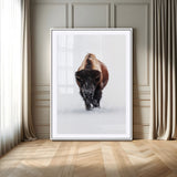 11394883-MGC-FP-24x36_White-Winter Bison Wall Art Canvas Print, Framed Rustic Wildlife Art Picture Print, Bold Animal Art Perfect Rustic Lodge Decor Artwork