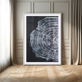 10432121-MGC-FP-24x36_White-Tree Ring Canvas Wall Art Canvas Print, Framed Rustic Wood Wall Art Picture Print, Botanical Tree Slice Perfect Modern Lodge Decor