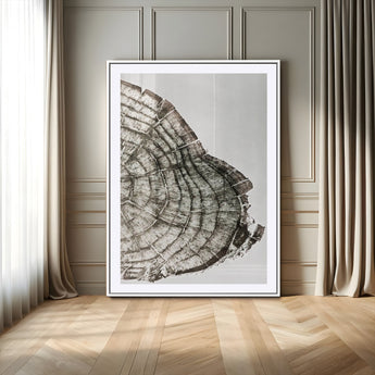 57798204-MGC-FP-24x36_White-Botanical Tree Ring Wall Art Canvas Print, Framed Earth Tones Art Picture Print, Tree Ring Canvas Perfect Scandinavian Minimalist