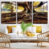 53335-MGV-CV-36X24-Majestic Tree with Sprawling Roots Wall Art – Serene Sunlit Park Scene, Nature Canvas Print, Perfect for Living Room, Office or