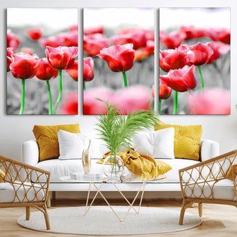 44554-MGV-CV-36X24-Vibrant red tulips stand out beautifully against a black-and-white background, making a striking decor piece perfect for any home