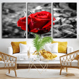 84671-MGV-CV-36X24-Red Rose Wall Art – Vibrant Single Bloom Canvas Print with Black and White Background, Elegant Floral Decor for Living Room,