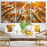 11823-MGV-CV-36X24-Golden Autumn Tree Canopy Wall Art – Stunning Fall Forest Leaves Print, Warm Seasonal Nature Decor for Home, Office or Cabin
