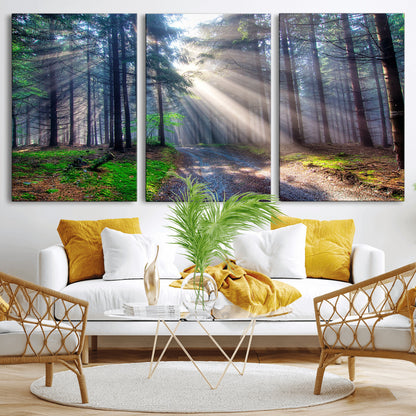 42047-MGV-CV-36X24-Sunlit Forest Path Wall Art – Nature Canvas Print, Serene Woodland Landscape, Perfect Home & Office Decor for Calm and Tranquil