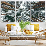 18790-MGV-CV-36X24-Pine Canopy Wall Art – Panoramic View of Towering Pines Canvas Print, Nature-Inspired Decor for Office, Cabin or Living Room