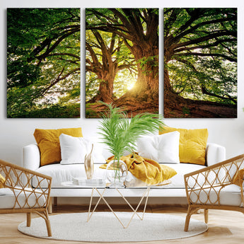 52150-MGV-CV-36X24-Majestic Tree Wall Art – Large Nature Canvas Print with Sunlight Through Branches, Rustic Forest Decor for Living Room, Bedroom or