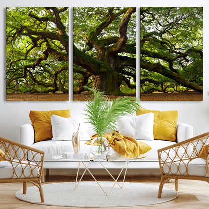 29407-MGV-CV-36X24-Ancient Oak Tree Wall Art – Majestic Nature Canvas Print, Large Tree Photography Decor for Living Room