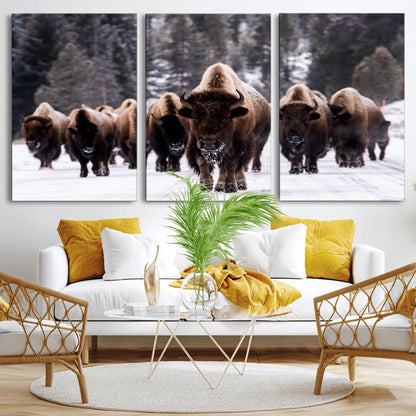 66871-MGV-CV-36X24-Bison Herd Wall Art – Wildlife Buffalo Canvas Print, Rustic Western Nature Photography Decor for Living Room, Office, Cabin, or